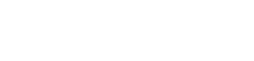 BoltPe_Logo_White